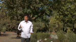 Landscaping business