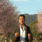 What is a SaaS company really worth