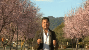 What is a SaaS company really worth