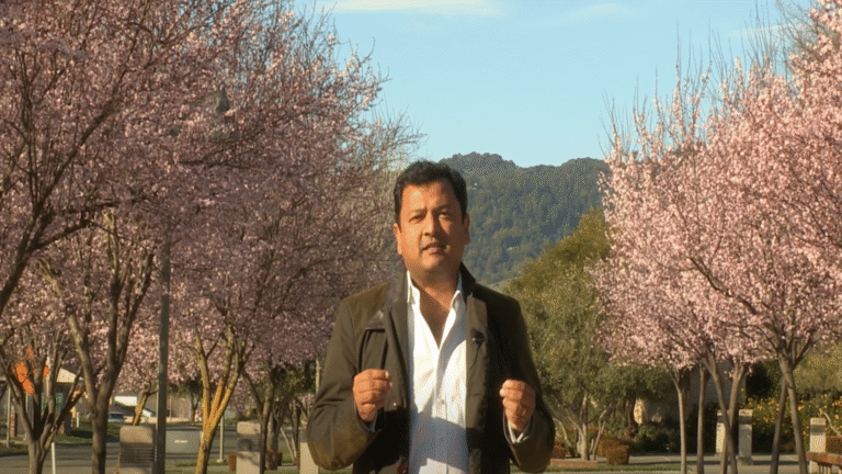 What is a SaaS company really worth